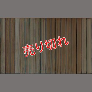 画像2: 銀河鉄道999 全18巻 松本零士 少年画報社/15冊初版