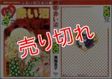 赤い沼 高階良子 KCなかよし