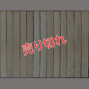 画像2: THEレイプマン 全13巻 みやわき心太郎 愛崎けい子 SP COMICS