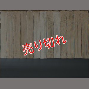 画像3: THEレイプマン 全13巻 みやわき心太郎 愛崎けい子 SP COMICS