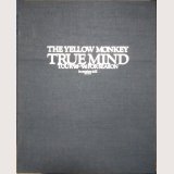 THE YELLOW MONKEY TRUE MIND TOUR'95‐'96 FOR SEASON  in mocion still/ザ・イエロー・モンキー /VHS