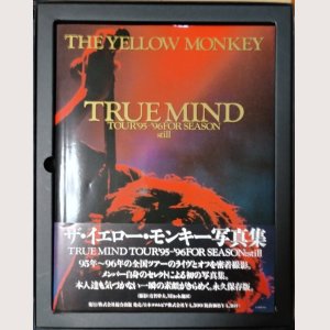 画像2: THE YELLOW MONKEY TRUE MIND TOUR'95‐'96 FOR SEASON  in mocion still/ザ・イエロー・モンキー /VHS